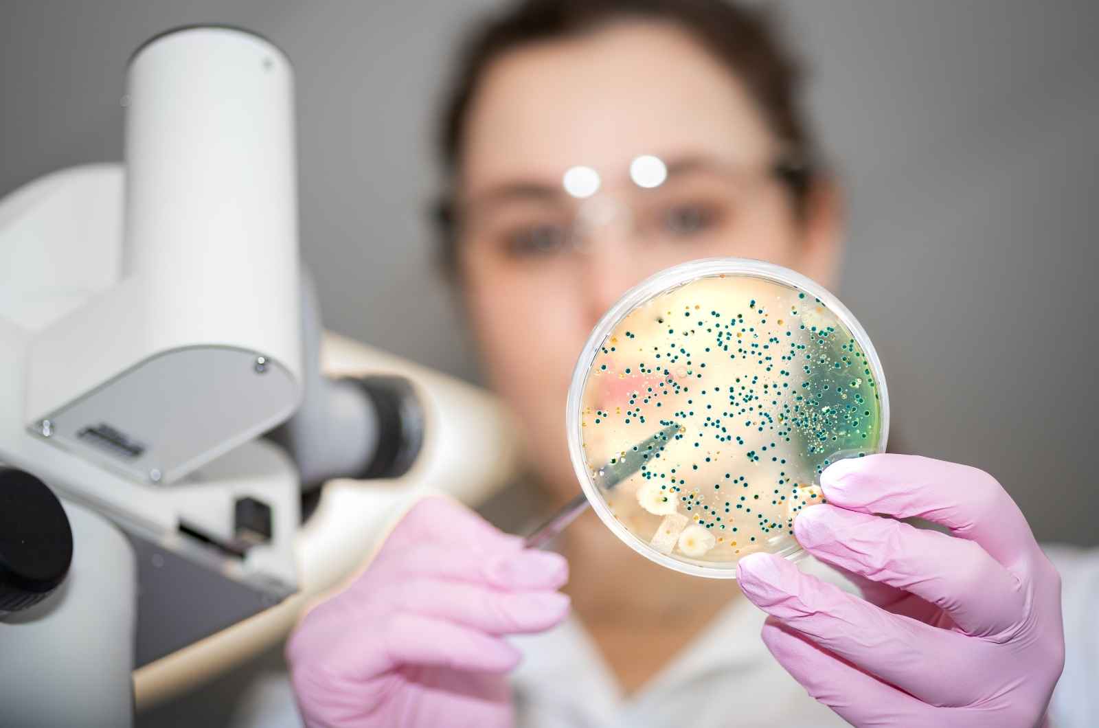 Biotechnology - Biotechfarm