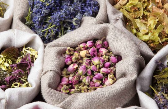 עשבי תיבול2